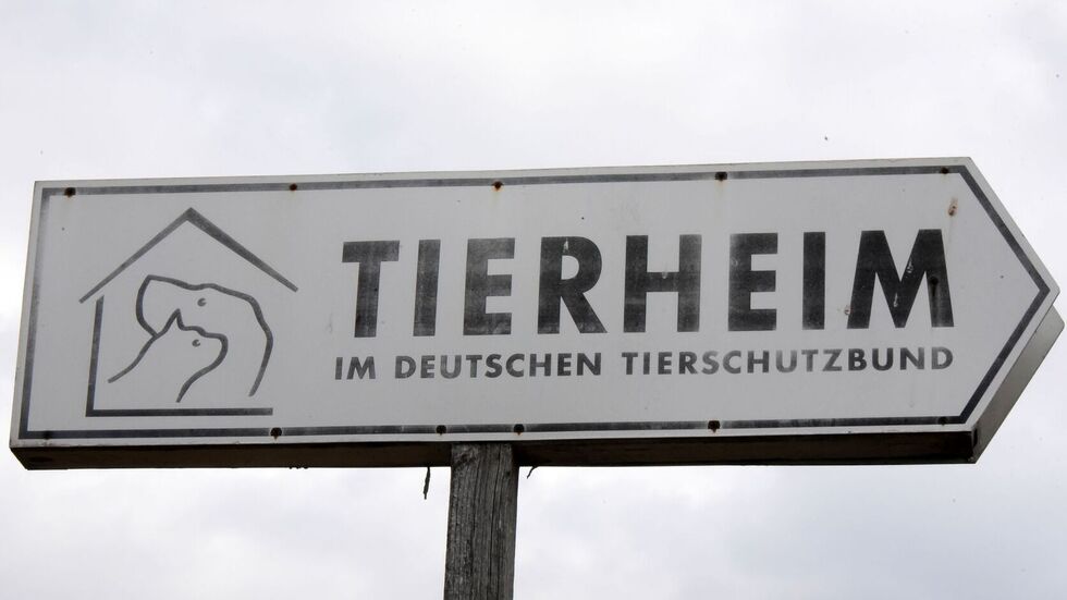 Künftig gibt es mehr Förderung für Tierschutz in Sachsen. (Symbolbild) Künftig gibt es mehr Förderung für Tierschutz in Sachsen. (Symbolbild)