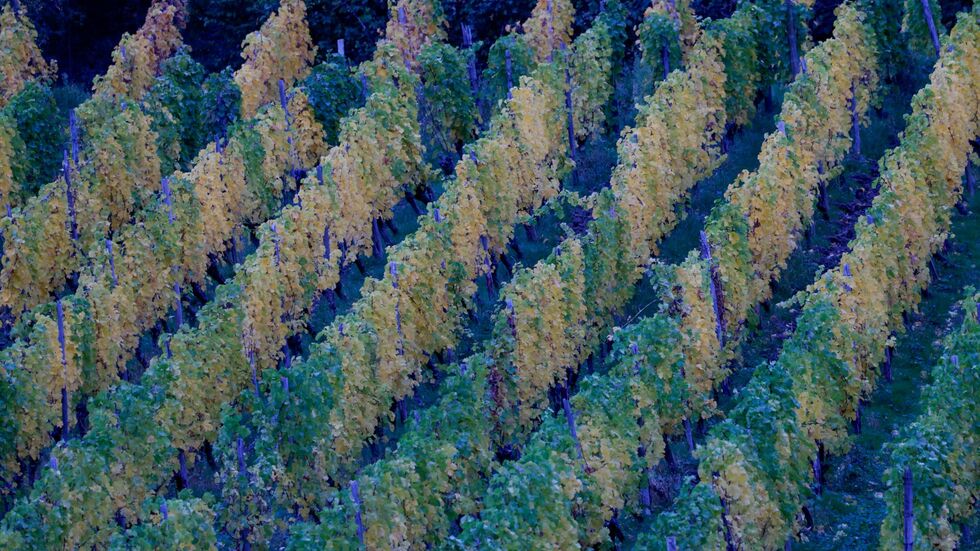 In der neuen Woche kann es in Deutschland zunehmend nass werden. In der neuen Woche kann es in Deutschland zunehmend nass werden.