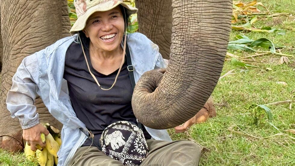 Das Lebenswerk der Elefantenflüsterin ist beeindruckend.