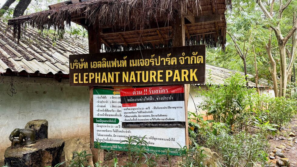 Der Elephant Nature Park liegt in der Nähe der bekannten Stadt Chiang Mai.
