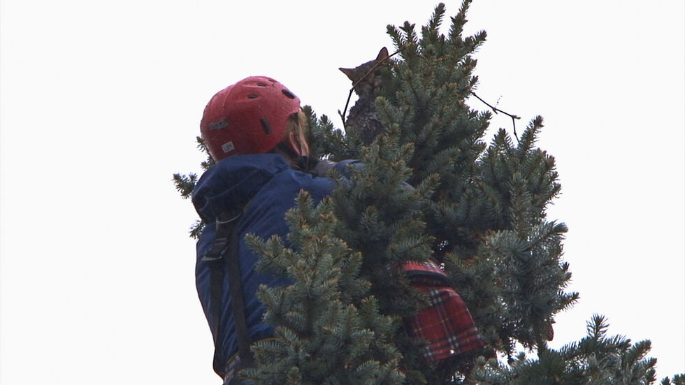 (Fotos: Tino Plunert) (Fotos: Tino Plunert)