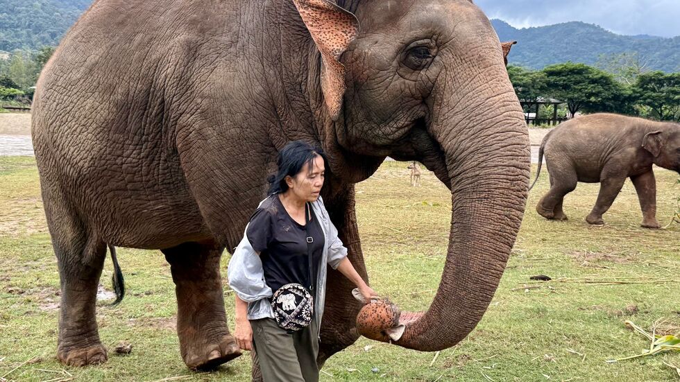 Lek ist für ihre Arbeit vielfach ausgezeichnet worden.