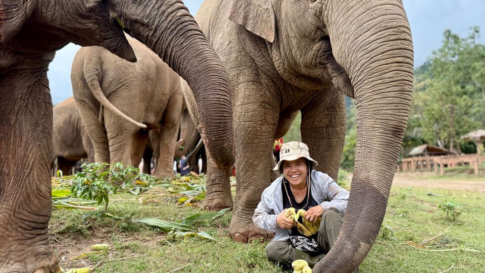 Saengduean «Lek» Chailert verbringt täglich viel Zeit mit ihren Elefanten. 