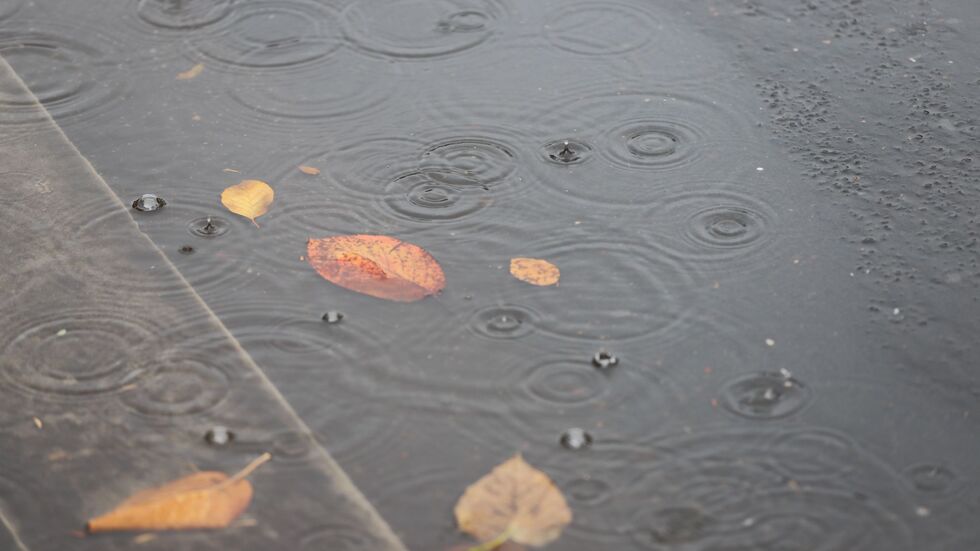 Insbesondere im Norden kam viel Regen herunter. (Archivbild)