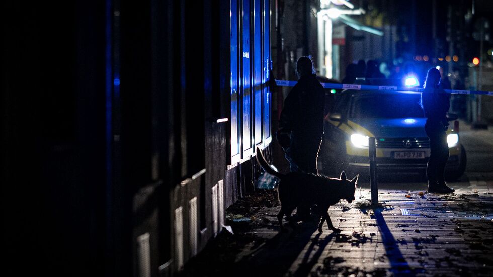 Auch Spürhunde sind im Einsatz. Auch Spürhunde sind im Einsatz.