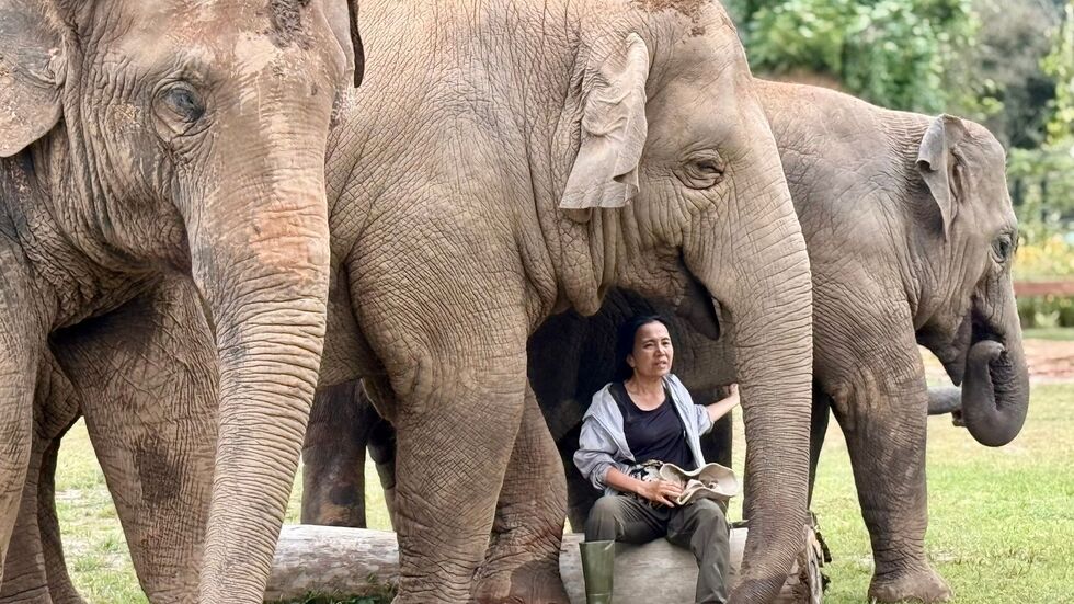 Oft singt Lek ihren Elefanten Schlaflieder, um sie zu beruhigen.