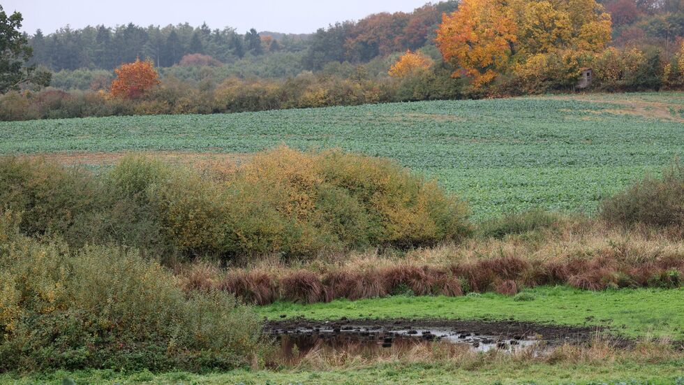 Die Suchmaßnahmen im Umfeld der Stelle, an der in der Nähe Güstrows am Dienstag ein toter Junge gefunden wurde, sind abgeschlossen. 