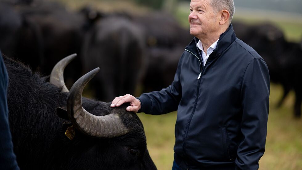 Hat als einfacher Abgeordneter nun mehr Zeit: Der frühere Bundeskanzler Olaf Scholz (SPD). (Archivbild)