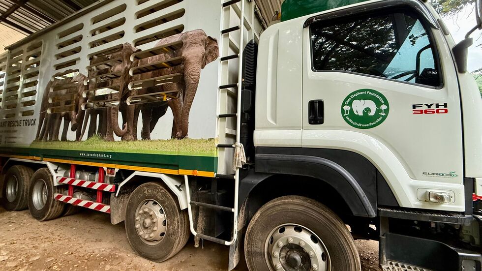 In solchen Trucks werden die Elefanten nach ihrer Rettung in den Elephant Nature Park gefahren.