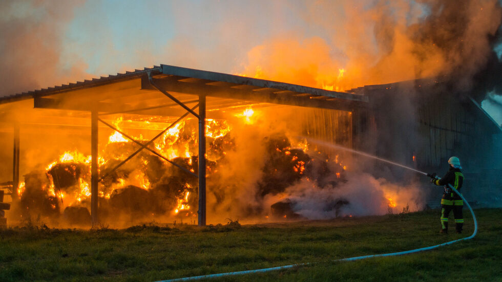 Fotos: Tele-Lausitz (Rico Löb) Fotos: Tele-Lausitz (Rico Löb)