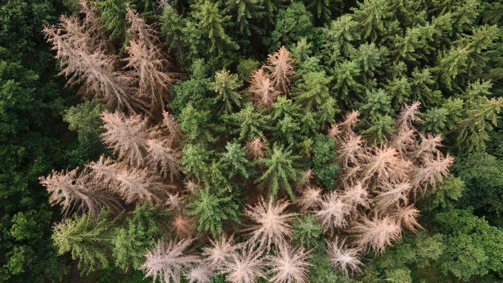 In der Sächsischen Schweiz ist ein Mann bei einer Totenehrung gestorben. (Archivbild)
