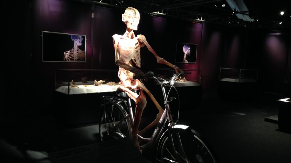 Foto: Redak­tion Foto: Redaktion