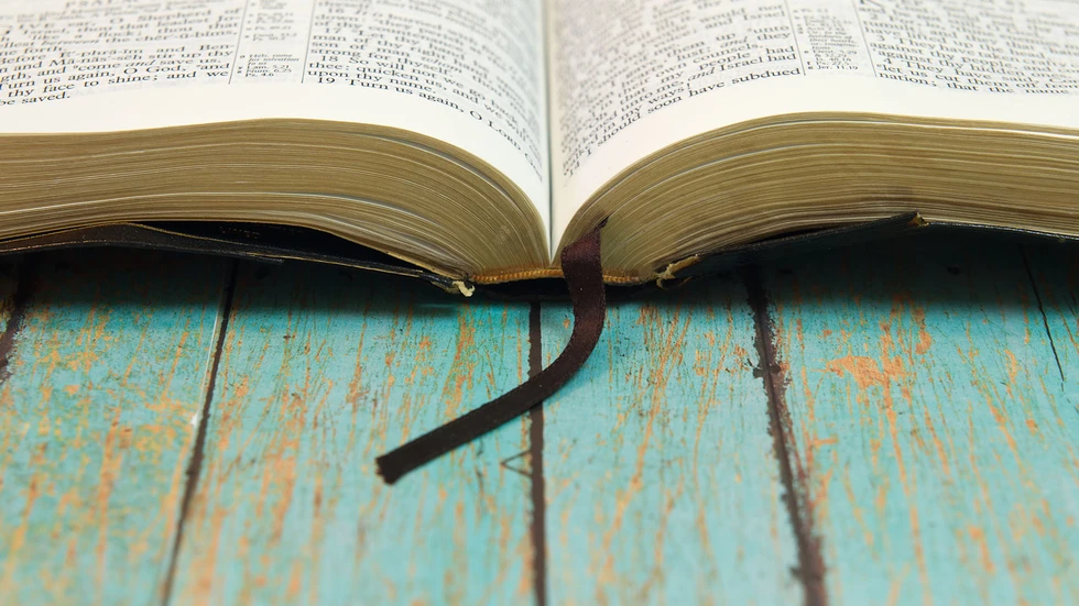 Von Literatur bis Filmkunst: Die Genres Science-Fiction, Fantasy und Horror stehen im Fokus von mehr als 300 Experten. (Symbolbild)