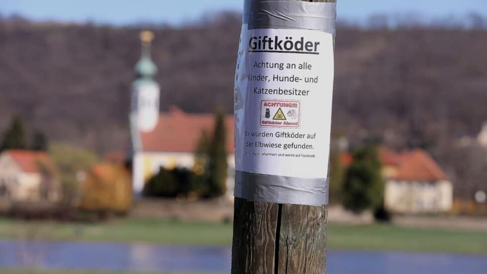 In Kleinzschachwitz wird vor Giftködern gewarnt. Auf Hinweise zum Täter wurden 1000 Euro ausgelobt. (Foto: T. Plunert)