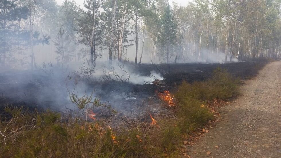 Waldbrände halten Sachsens Feuerwehren immer wieder auf Trab. (Symbolbild / Foto: Jonny Linke) Waldbrände halten Sachsens Feuerwehren immer wieder auf Trab. (Symbolbild / Foto: Jonny Linke)