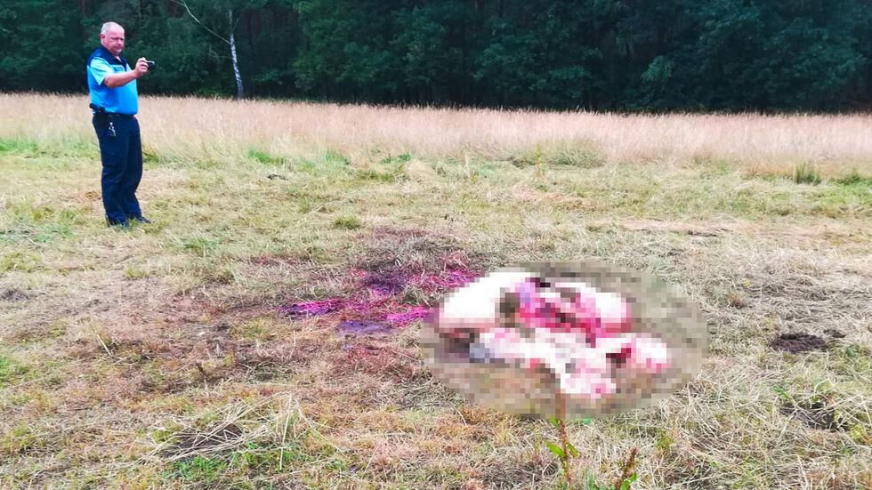 (Foto: Blaulichtmeldung Mitteldeutschland / Nick Dolz) (Foto: Blaulichtmeldung Mitteldeutschland / Nick Dolz)