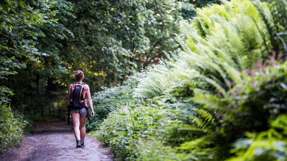 Eine Bürgerinitiative kämpft für alte Wanderwege zwischen Sachsen und Tschechien, die seit Jahrzehnten gesperrt sind