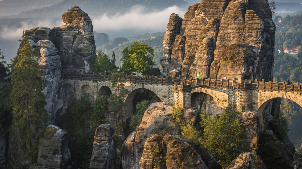Bei einem Ausflug in der Sächsischen Schweiz aß ein Mädchen vom giftigen Fingerhut. (Symbolbild)