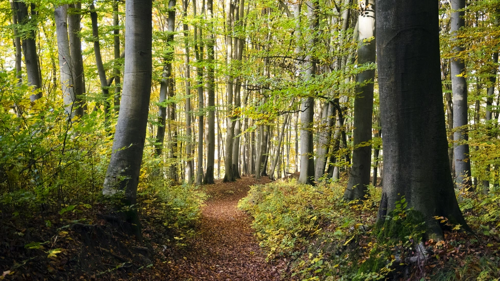 © Fotolia - Clemens Schüßler