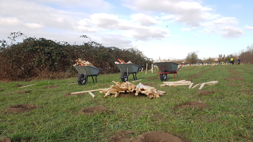 Die farbigen Holzpfähle markieren, welcher Baum oder Strauch eingepflanzt werden soll. Etwa 14 verschiedene Sorten werden am Donnerstag in den Boden gebracht. (Foto: Redaktion/Franziska Meier) Die farbigen Holzpfähle markieren, welcher Baum oder Strauch eingepflanzt werden soll. Etwa 14 verschiedene Sorten werden am Donnerstag in den Boden gebracht. (Foto: Redaktion/Franziska Meier)