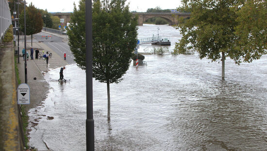 Die Elbe in Pirna am Sonntagnachmittag.