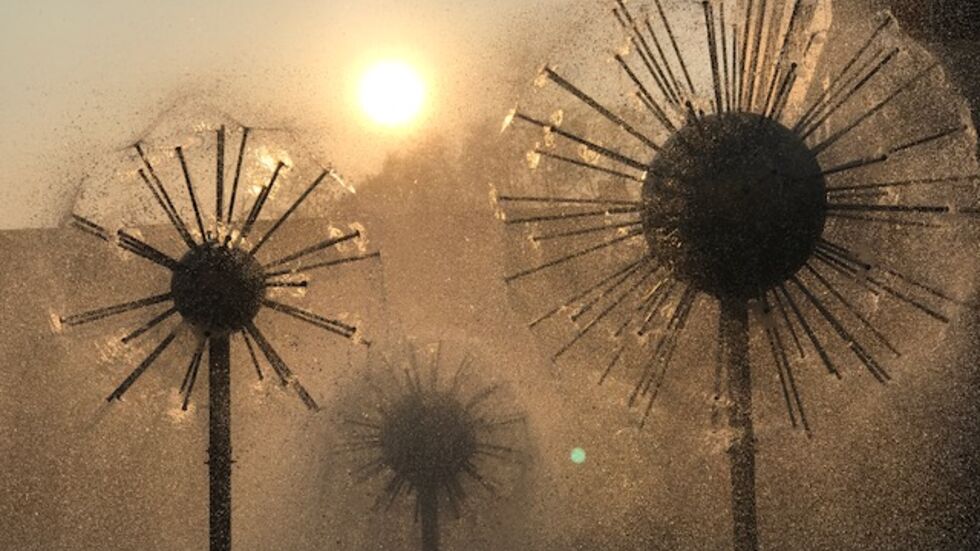 Auch die Pusteblumen auf der Prager Straße gehen jetzt in die Winterpause 