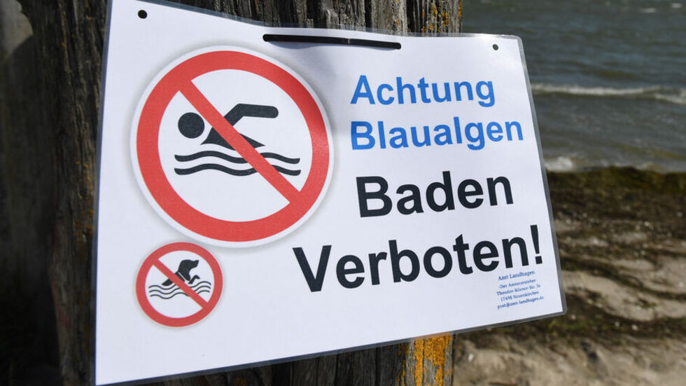 Symbolbild © Stefan Sauer/dpa