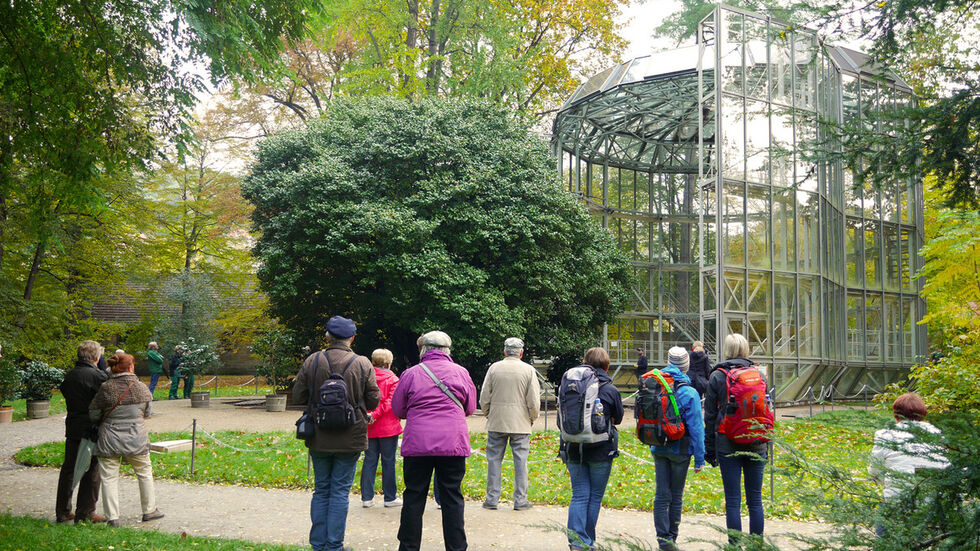 Das Spektakel lockt jedes Jahr Besucher an. (Archivbild)