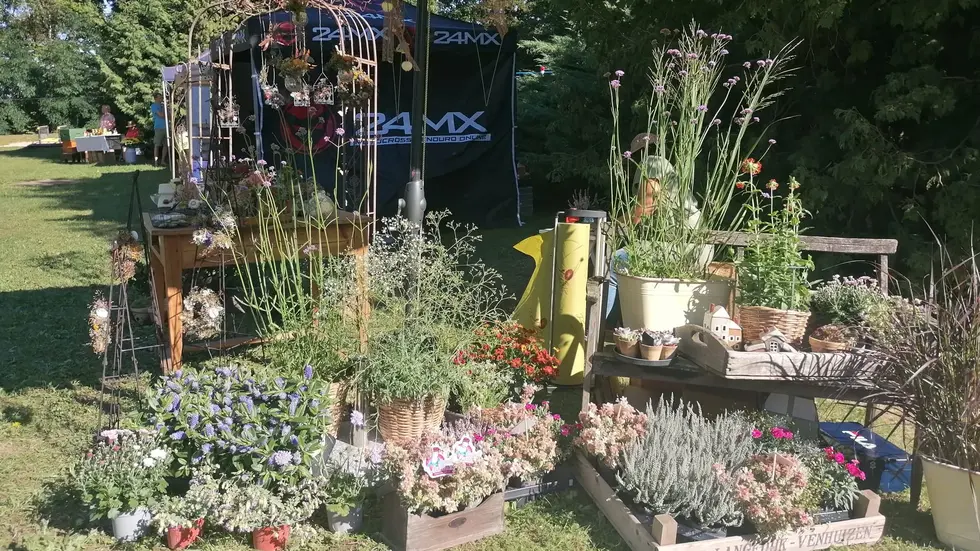 Am Sonntag gibt es auch einen Bauernmarkt im Waldbad
