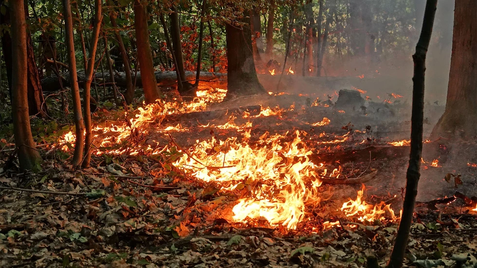 Symbolbild Symbolbild