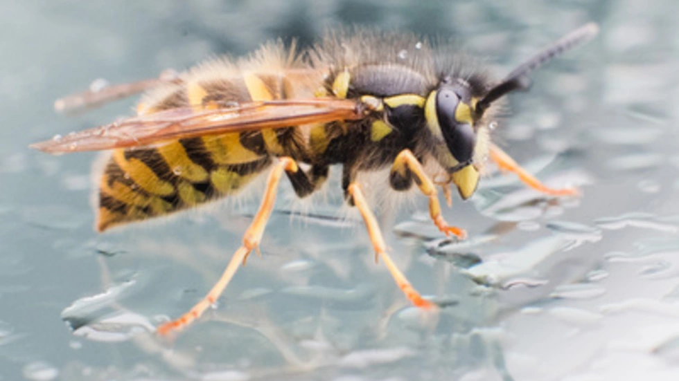 Foto: DPA Julian Stratenschulte Foto: DPA Julian Stratenschulte