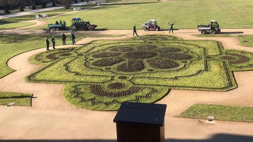 Die Gärtner im Großen Garten bei den Pflanzarbeiten. Die Gärtner im Großen Garten bei den Pflanzarbeiten.