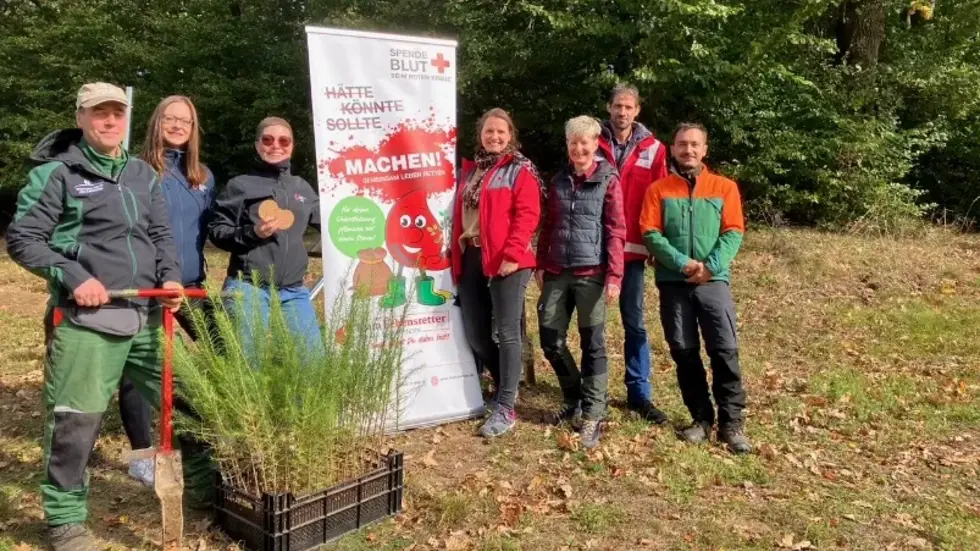 Die ersten 100 Bäume wurden heute in einem Waldgebiet bei Krumhermsdorf (Neustadt in Sachsen) gesetzt.