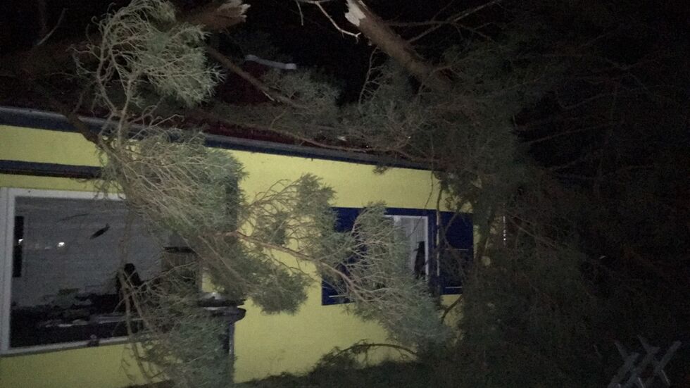 Baum stürzt auf Haus in Weinböhla. Foto: Redaktion Baum stürzt auf Haus in Weinböhla. Foto: Redaktion