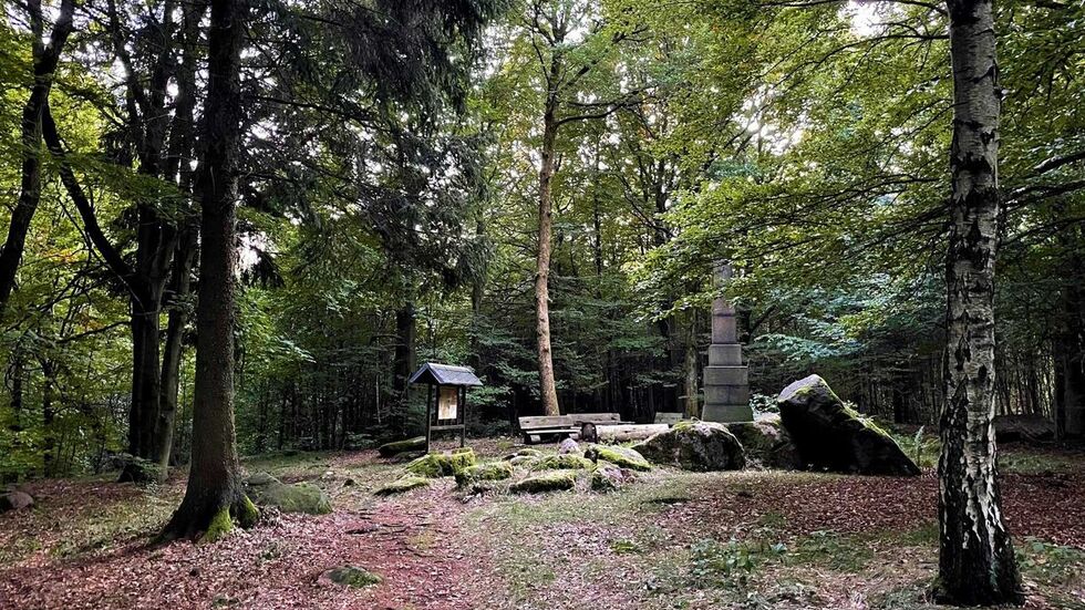 Das Waldgebiet Gerstenberg bei Rugiswalde an der sächsisch-tschechischen Grenze ist ein Teil des geplanten Walderlebnisgebietes. Das Waldgebiet Gerstenberg bei Rugiswalde an der sächsisch-tschechischen Grenze ist ein Teil des geplanten Walderlebnisgebietes.