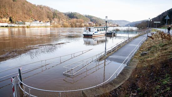 Hochwasser der Elbe in der Sächsischen Schweiz (27.12.23)