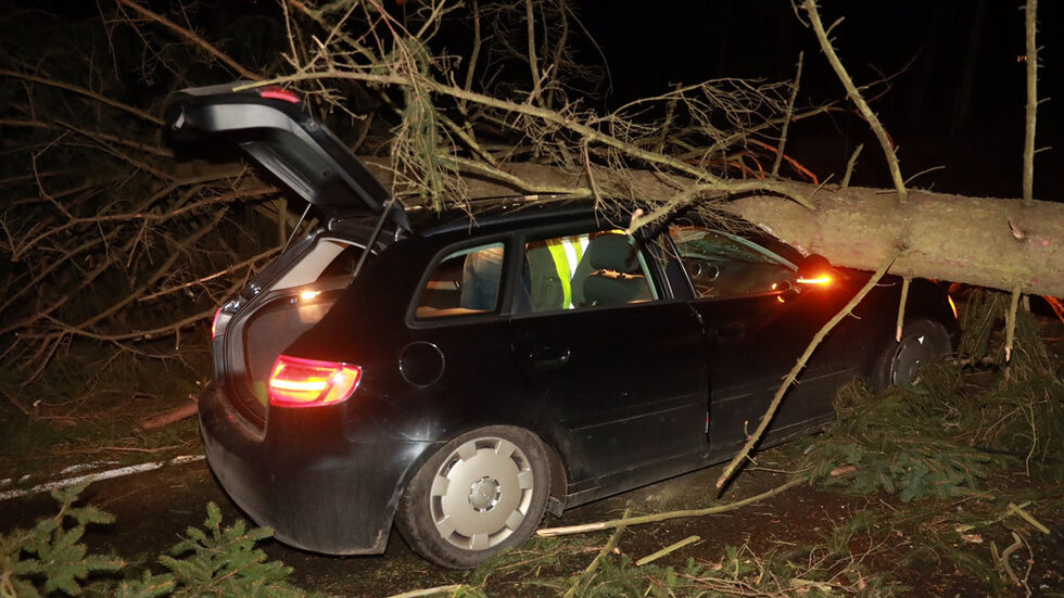Auf der B172 ist ein Auto in einen umgestürzten Baum gefahren. Foto: Marko Förster Auf der B172 ist ein Auto in einen umgestürzten Baum gefahren. Foto: Marko Förster