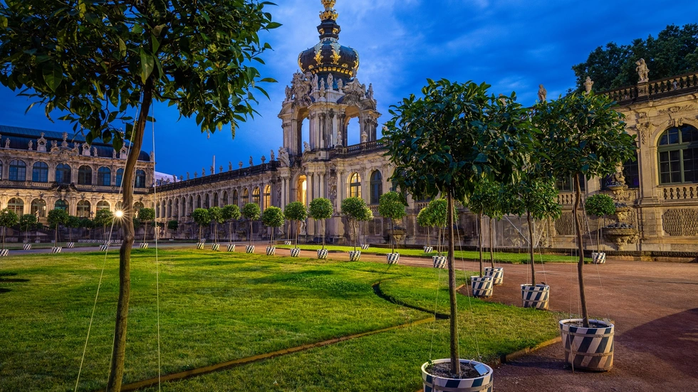 So toll erstrahlt der Zwinger nach vier Jahren diesen Juni wieder mit den Orangenbäumchen