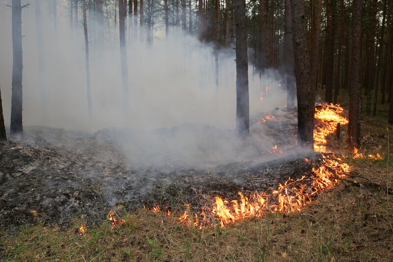 Symbolbild (Foto:Archiv)