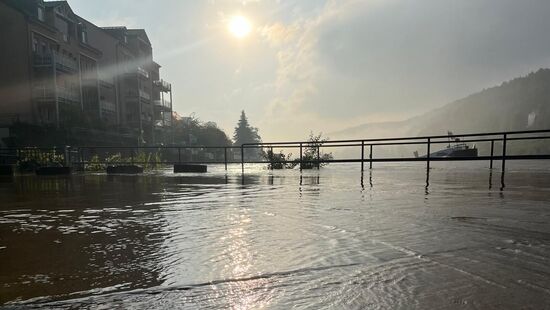 Der Elbkai in Bad Schandau.