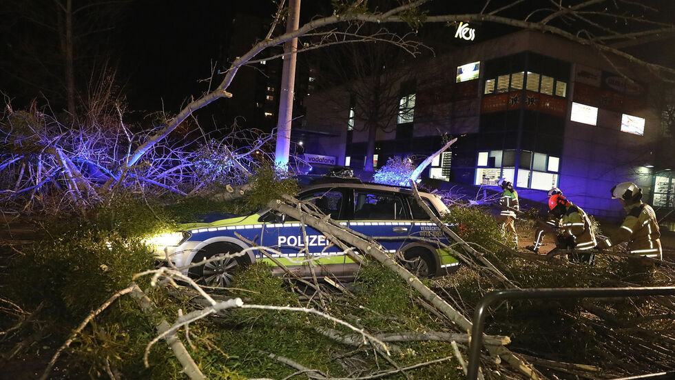 Baum begräbt Polizeiauto. Foto: Tino Plunert Baum begräbt Polizeiauto. Foto: Tino Plunert