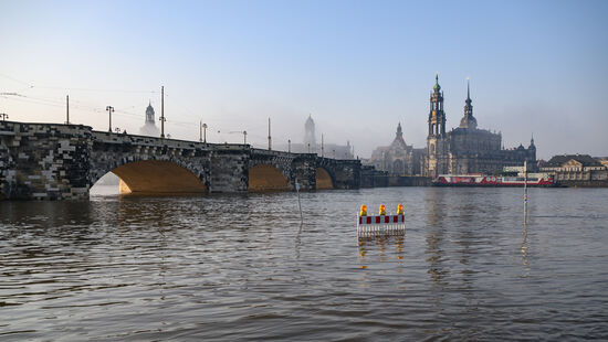 Die Elbwiesen sind überflutet.
