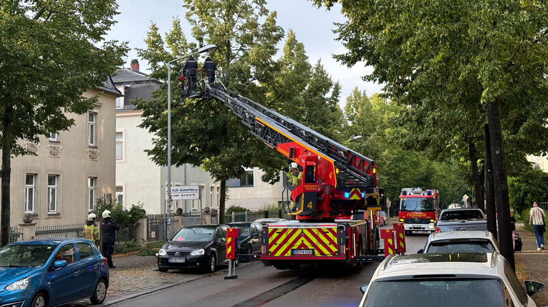 Die Reisewitzer Straße in Löbtau.