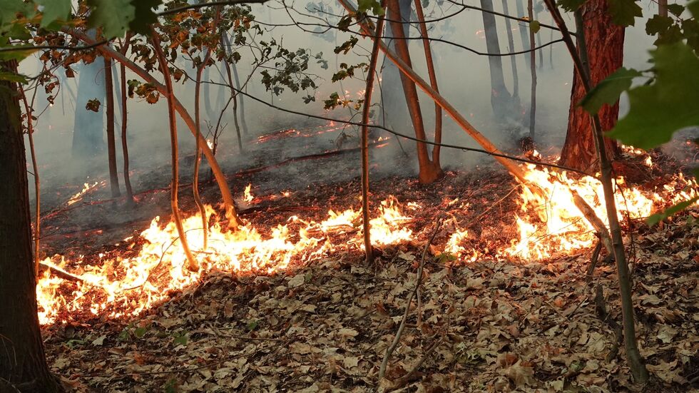 Das Feuer in der Heide.