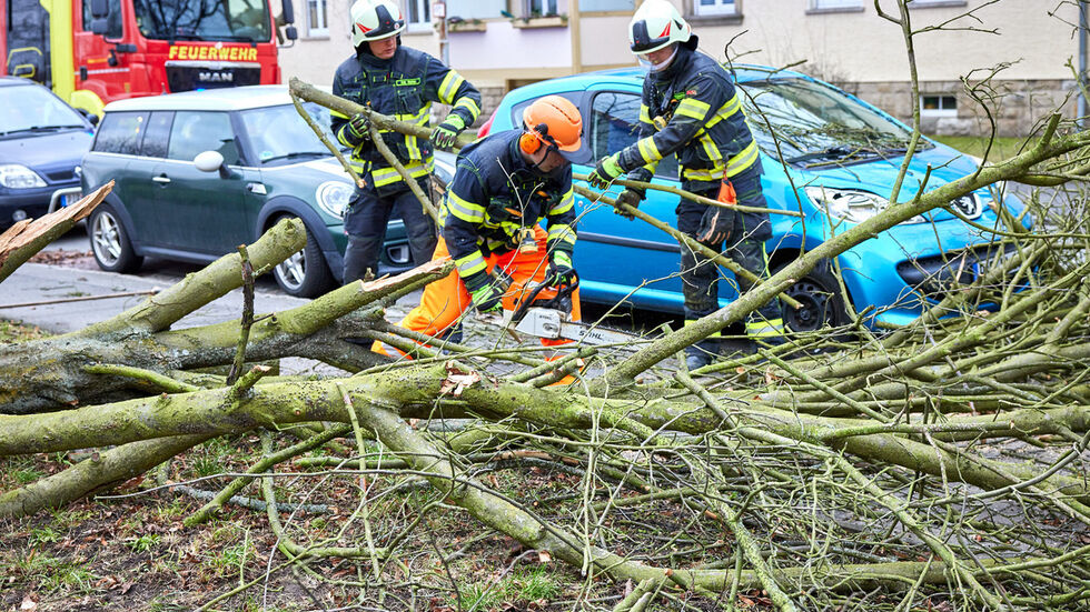 In Pirna ist ein Baum auf ein Auto gefallen. In Pirna ist ein Baum auf ein Auto gefallen.