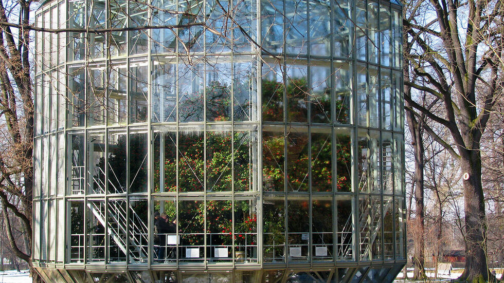 Das Kamelienhaus im Winter. Besucher können die berühmte Pflanze wieder bewundern. Das Kamelienhaus im Winter. Besucher können die berühmte Pflanze wieder bewundern.