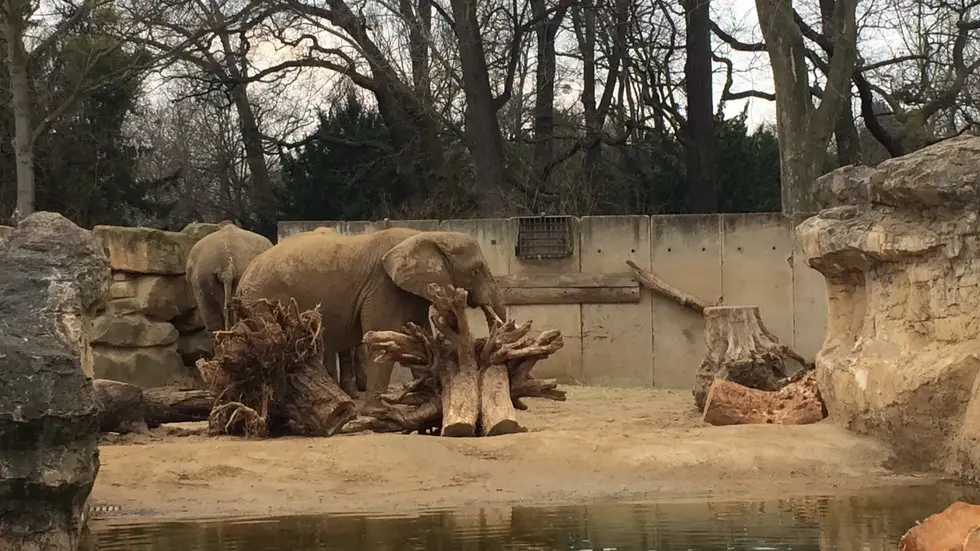 Symbolbild Symbolbild