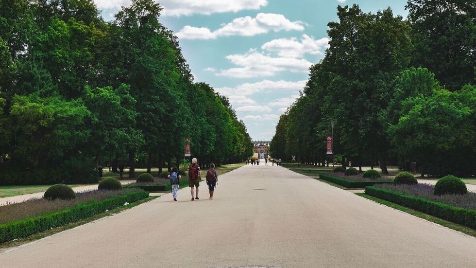 Der Große Garten ist nicht nur ein beliebter Ort zum Spazieren. Hier ist auch das Jugend-Öko-Haus beheimatet - doch das steht nun auf der Kippe. (Symbolbild)