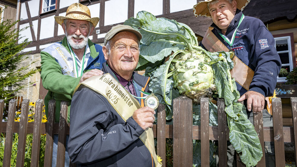 Die Kohlrabisieger von 2025 v.l.n.r.: Platz 2: Harti Erler (78) aus Schöna, Joachim Hempel (77) aus Reinhardtsdorf mit der schwersten Knolle dieses Jahr und  Frank Meißner (64) aus Reinhardtsdorf auf Platz 3