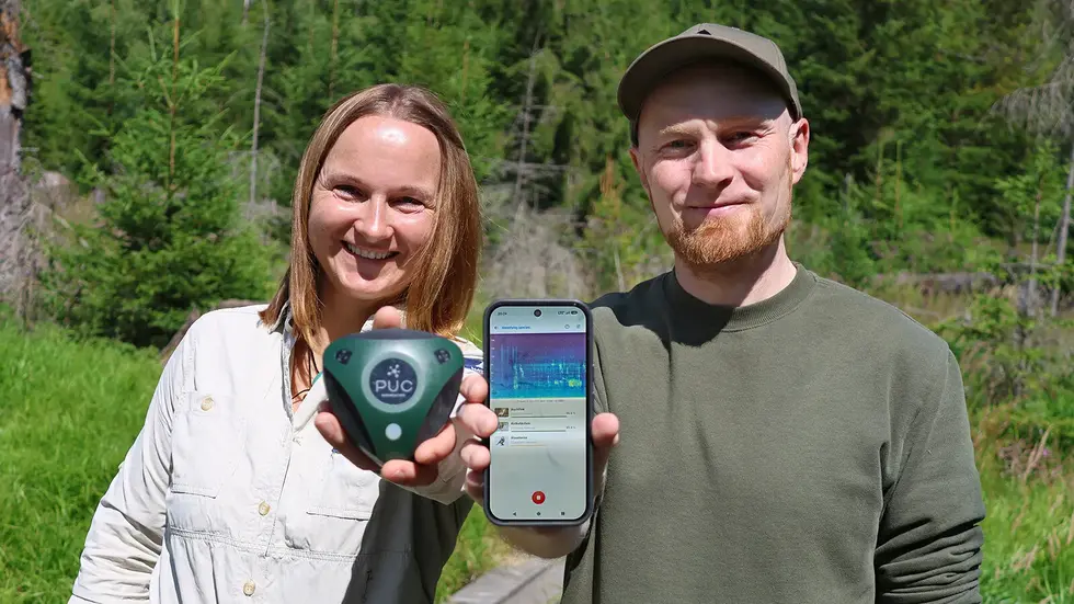Martina Buchna, Rangerin im Nationalpark Bayerischer Wald, und Entwickler Dr. Stefan Kahl von der Professur Medieninformatik der TU Chemnitz zeigen die Tierstimmen-App „BirdNET Live“. Buchna hält einen Audiologger, der mehrere Tage im Wald Geräusche aufzeichnen kann. Mit solchen Geräten wurden Trainingsdaten für die App gesammelt. Martina Buchna, Rangerin im Nationalpark Bayerischer Wald, und Entwickler Dr. Stefan Kahl von der Professur Medieninformatik der TU Chemnitz zeigen die Tierstimmen-App „BirdNET Live“. Buchna hält einen Audiologger, der mehrere Tage im Wald Geräusche aufzeichnen kann. Mit solchen Geräten wurden Trainingsdaten für die App gesammelt.